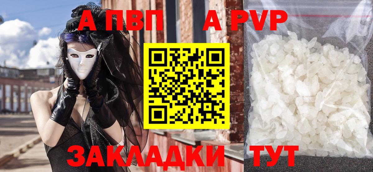 Alfa_PVP СК Кисловодск