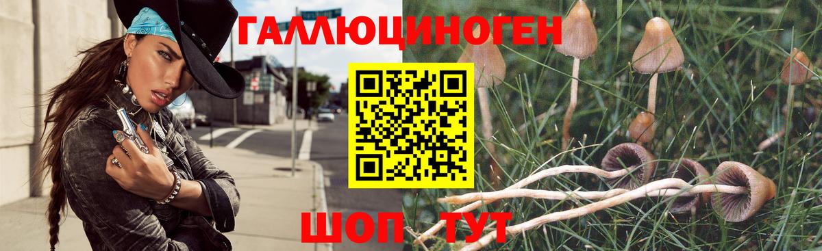 Кисловодск  Галлюциногенные грибы Magic Shrooms  где купить наркоту  Вход с VPN 