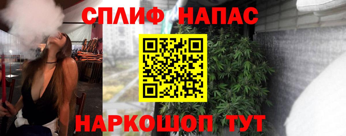 Каннабис сатива Кисловодск